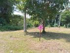 Land for Sale Polgahawla City