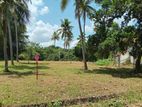 Land for Sale Polgahawla