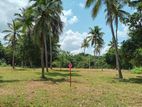 Land for Sale Polgahawla