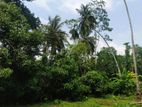 Land For Sale - Polgasowita