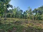 Land for Sale Polgasowita