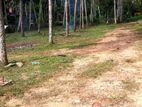 Land For Sale Polgasowita