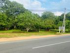 Land For Sale Polonnaruwa