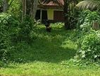 Land For Sale Polwaththa,Weligama