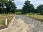 Land for Sale Pothuhara Town