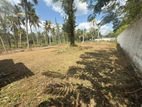 Land for Sale Pothuhera