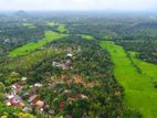 Land for Sale - Pothuhera TR 158