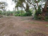 Land for Sale – Prime Commercial Location in Wattala (Hendala)