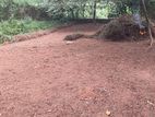 Land for Sale ( Prime Land) Bandaragama