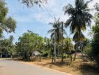 Land for Sale – Prime Location Near Kataragama