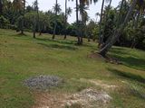 Land for Sale - Dungalpitiya
