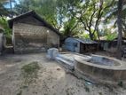 Land for Sale பருத்திதுறை