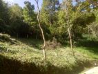 Land for Sale Pujapitiya