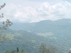 Land for sale pundaluoya