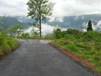 Land for Sale Pundaluoya
