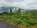 LAND FOR SALE PUNDALUOYA
