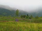 LAND FOR SALE PUNDALUOYA