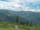 Land for Sale Pundaluoya