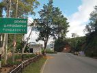 Land for sale pundaluoya road
