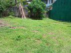 Land for Sale Purana Road Wattegedara Maharagama