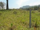 Land for Sale පුස්සැල්ලාව