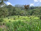 Land for Sale Pussellawa