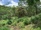 Land for Sale Pussellawa