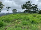 LAND FOR SALE PUSSELLAWA