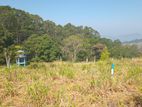 Land for Sale Pussellawa