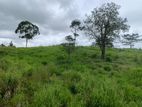 LAND FOR SALE PUSSELLAWA