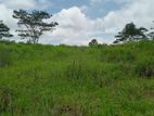 Land For Sale Pussellawa