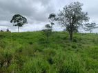 LAND FOR SALE PUSSELLAWA