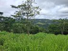 land for sale pussellawa