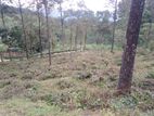 land for sale pussellawa