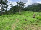land for sale pussellawa