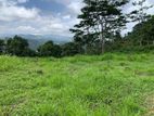 land for sale pussellawa