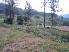 Land for Sale Pussellawa