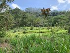 Land for Sale Pussellawa
