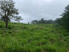Land for Sale Pussellawa