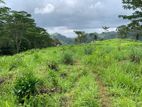 Land for Sale Pussellawa