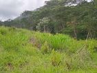 LAND FOR SALE PUSSELLAWA