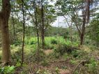 Land for Sale Pussellawa