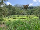 Land for Sale Pussellawa