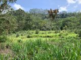 Land for Sale Pussellawa