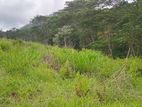 LAND FOR SALE PUSSELLAWA