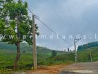 Land for Sale Pussellawa Glenloch