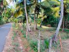 Land for Sale Puttalam