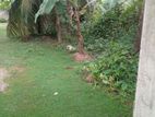 Land for Sale Dankotuwa