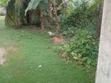 Land for Sale Dankotuwa