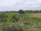 Land for Sale Puttalam